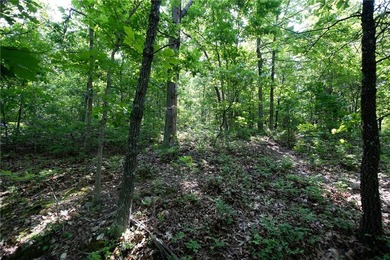 Build your dream home on this 1.08 Acres +/- wooded homesite - photo 5