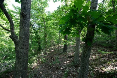 Build your dream home on this 1.08 Acres +/- wooded homesite - photo 7