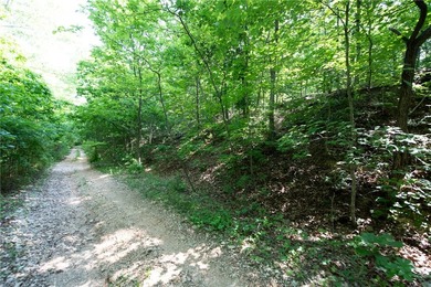 Build your dream home on this 1.08 Acres +/- wooded homesite - photo 9