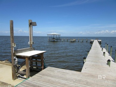This beautiful homesite is ideally positioned just steps from - photo 12