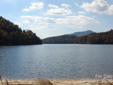 Well appointed 'turn-key' studio condo in Rumbling Bald At Lake - photo 28