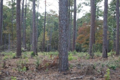 Lake Sam Rayburn  Lot For Sale in Brookeland Texas