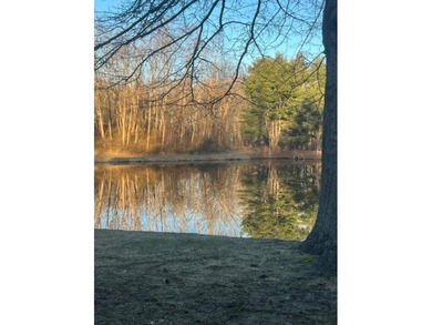 Enjoy serene pond views from this sunny and beautifully updated - photo 33