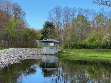 Enjoy serene pond views from this sunny and beautifully updated - photo 36