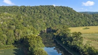 **OWNER WILL CONSIDER DIVIDING!!** THE BARREN RIVER RANCH, with - photo 41