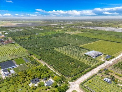 15-Acre Mature Longan Grove In The Heart of Homestead's - photo 2