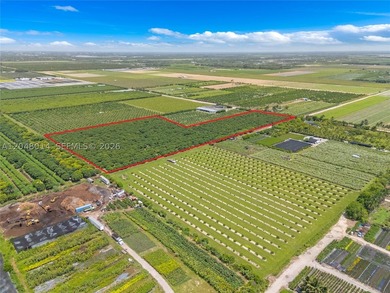 15-Acre Mature Longan Grove In The Heart of Homestead's - photo 5