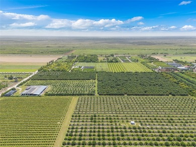 15-Acre Mature Longan Grove In The Heart of Homestead's - photo 6