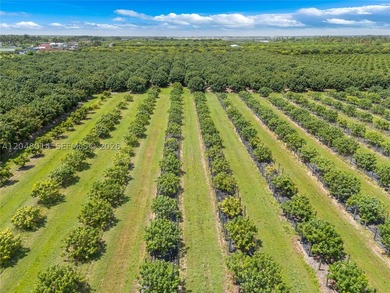15-Acre Mature Longan Grove In The Heart of Homestead's - photo 7