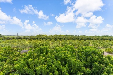 15-Acre Mature Longan Grove In The Heart of Homestead's - photo 8