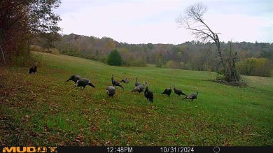 **OWNER WILL CONSIDER DIVIDING!!** THE BARREN RIVER RANCH, with - photo 49