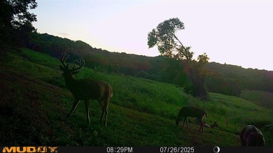 **OWNER WILL CONSIDER DIVIDING!!** THE BARREN RIVER RANCH, with - photo 51