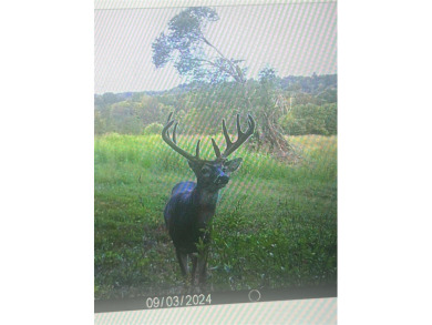 **OWNER WILL CONSIDER DIVIDING!!** THE BARREN RIVER RANCH, with - photo 52