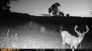 **OWNER WILL CONSIDER DIVIDING!!** THE BARREN RIVER RANCH, with - photo 56