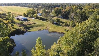 (private lake, pond, creek) Home For Sale in Beaverton Michigan