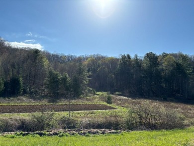 Wonderful opportunity to own easy access property off of state - Lake Acreage For Sale in Nantahala, North Carolina