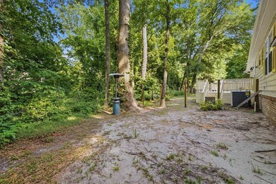 Welcome home to your little piece of paradise East of 17! Just - photo 39