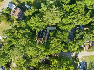 Welcome home to your little piece of paradise East of 17! Just - photo 43