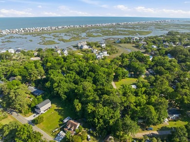 Welcome home to your little piece of paradise East of 17! Just - photo 45
