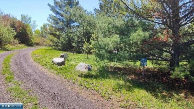 Lake Lot For Sale in Tower, Minnesota