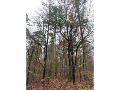 Broken Bow Lake Lot For Sale in Broken Bow Oklahoma