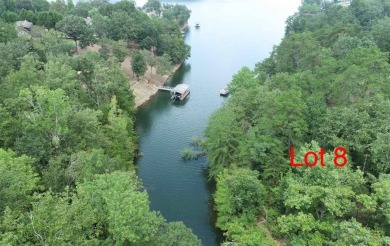 Lake Lot For Sale in Lineville, Alabama
