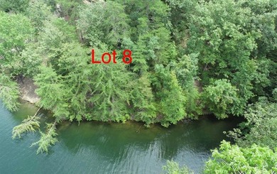 Beautiful 1 acre lot on the south end of Lake Wedowee, in gated - photo 4