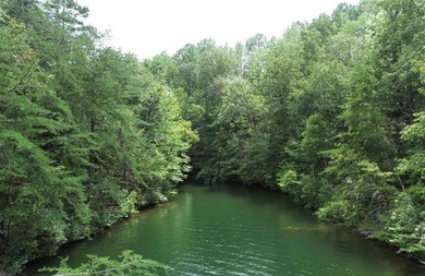 Beautiful 1 acre lot on the south end of Lake Wedowee, in gated - photo 5