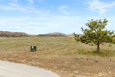 Elevated above the Lake Chelan Valley, 347 Rancho Perri Lane - photo 11