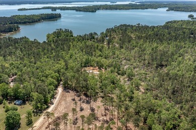 Rare Dockable 11 Acre Waterfront Property on Clarks Hill Lake - - photo 11