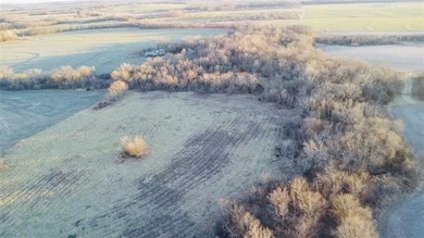 Highlights: -33.8 Acres (Surveyed Within The Last 30 Days) - photo 11