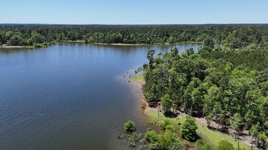 Tract 117 Eagles Landing - Immerse yourself in the joys of - photo 11