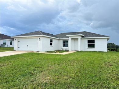 Citrus Lake  Home For Sale in Inverness Florida