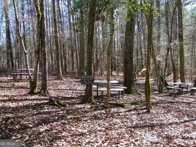 Lot 29 - Absolutely huge private corner tract with over 1060 of - photo 13