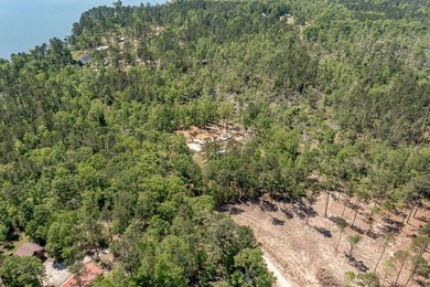 Rare Dockable 11 Acre Waterfront Property on Clarks Hill Lake - - photo 13