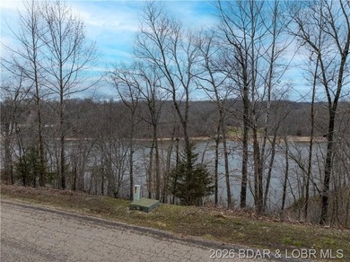 Nice Lake Front Building Lot in Eagle Bay Subdivisionmunity - photo 13