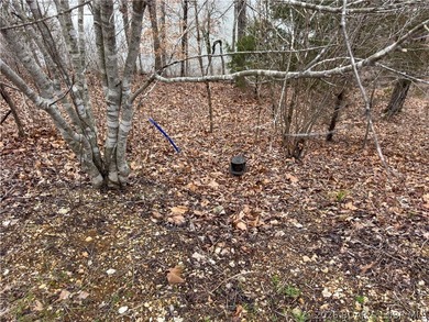 Nice Lake Front Building Lot in Eagle Bay Subdivisionmunity - photo 14