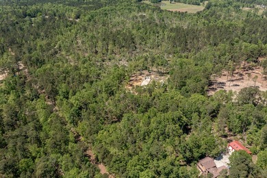 Rare Dockable 11 Acre Waterfront Property on Clarks Hill Lake - - photo 14