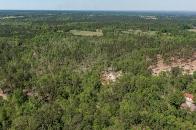 Rare Dockable 11 Acre Waterfront Property on Clarks Hill Lake - - photo 15