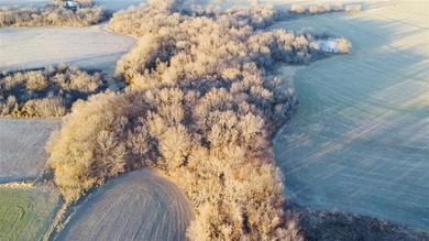 Highlights: -33.8 Acres (Surveyed Within The Last 30 Days) - photo 15