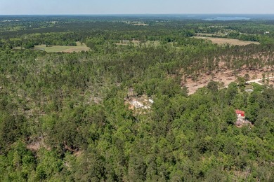 Rare Dockable 11 Acre Waterfront Property on Clarks Hill Lake - - photo 16
