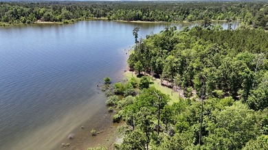Tract 117 Eagles Landing - Immerse yourself in the joys of - photo 17