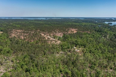 Rare Dockable 11 Acre Waterfront Property on Clarks Hill Lake - - photo 18