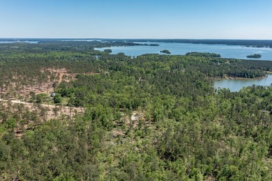 Rare Dockable 11 Acre Waterfront Property on Clarks Hill Lake - - photo 19