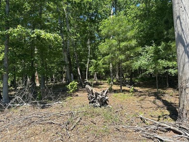Tract 117 Eagles Landing - Immerse yourself in the joys of - photo 19