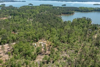 Rare Dockable 11 Acre Waterfront Property on Clarks Hill Lake - - photo 21