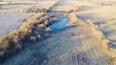 Highlights: -33.8 Acres (Surveyed Within The Last 30 Days) - photo 21