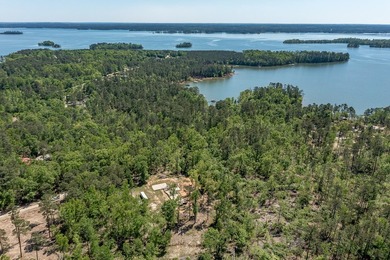 Rare Dockable 11 Acre Waterfront Property on Clarks Hill Lake - - photo 22