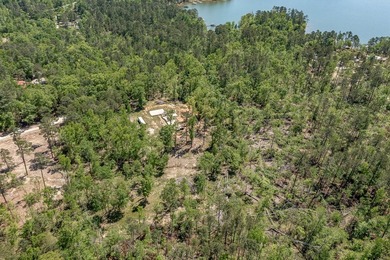 Rare Dockable 11 Acre Waterfront Property on Clarks Hill Lake - - photo 23