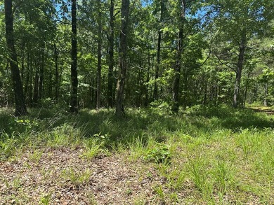 Tract 117 Eagles Landing - Immerse yourself in the joys of - photo 23